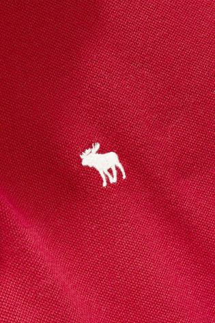 Abercrombie & Fitch Icon Polo
